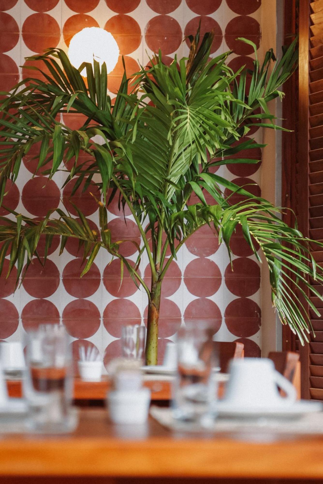 Luau Hotel 瓜吉鲁 外观 照片