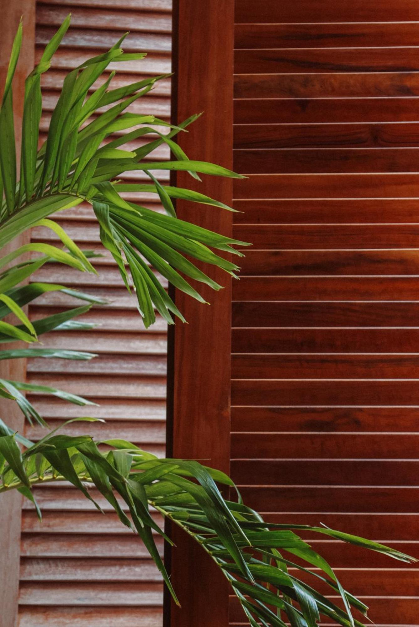 Luau Hotel 瓜吉鲁 外观 照片