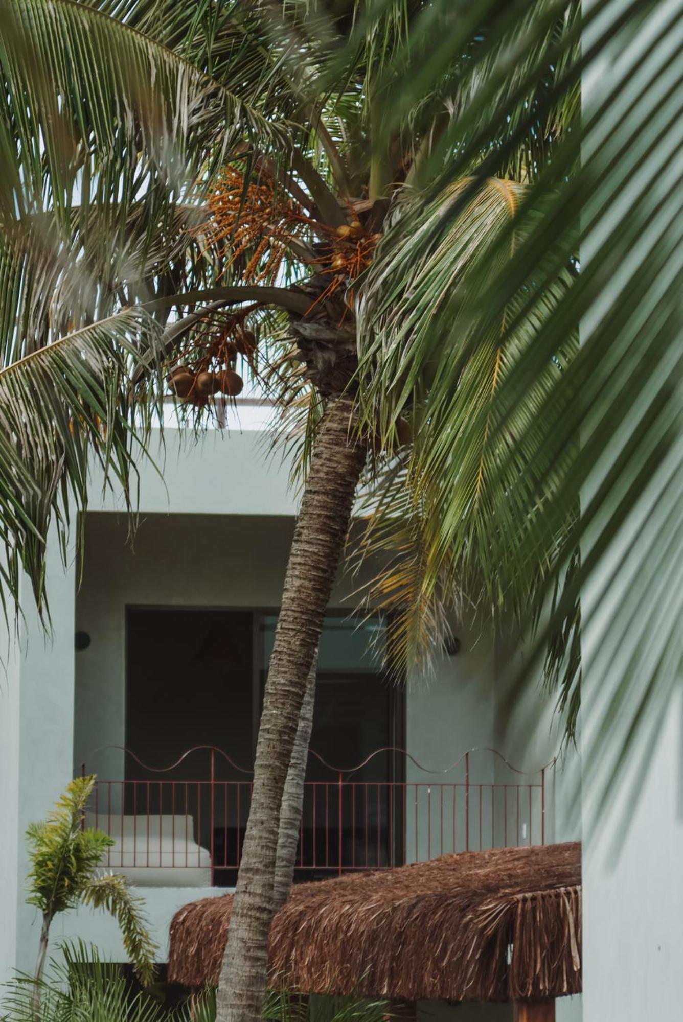 Luau Hotel 瓜吉鲁 外观 照片